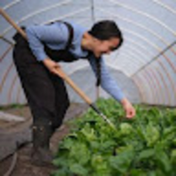 Meet your Posher, Audrey - Picture 1 of 1